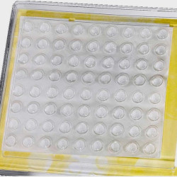 Pastilles bombés transparente adhésives