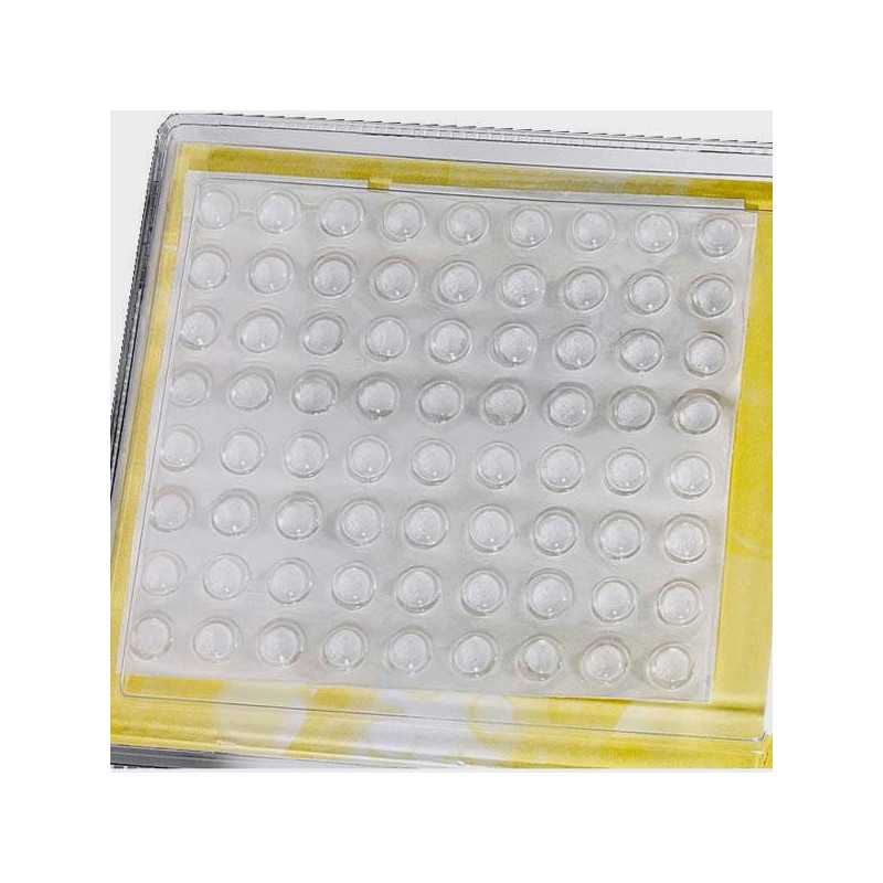 Pastilles bombés transparente adhésives