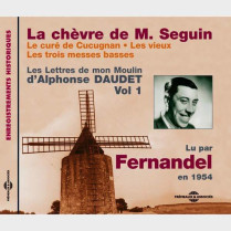 Livre audio - CONTES DE CHARLES PERRAULT - Catherine FROT et Jacques GAMBLIN