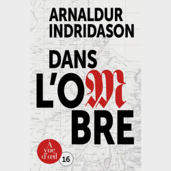 Livre gros caractères - Trilogie des ombres 1 - Dans l'ombre - Arnaldur Indridason