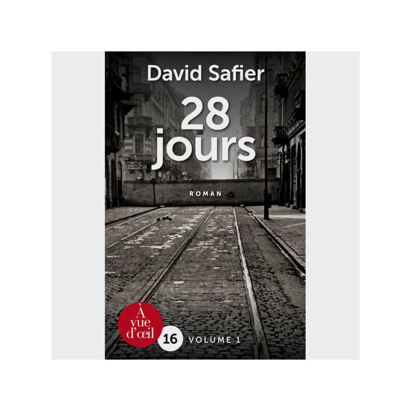 Livre gros caractères - 28 jours (2 volumes) - David Safier