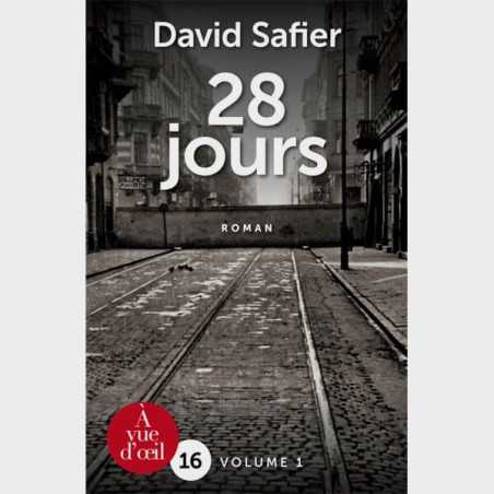 Livre gros caractères - 28 jours (2 volumes) - David Safier