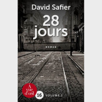 Livre gros caractères - 28 jours (2 volumes) - David Safier