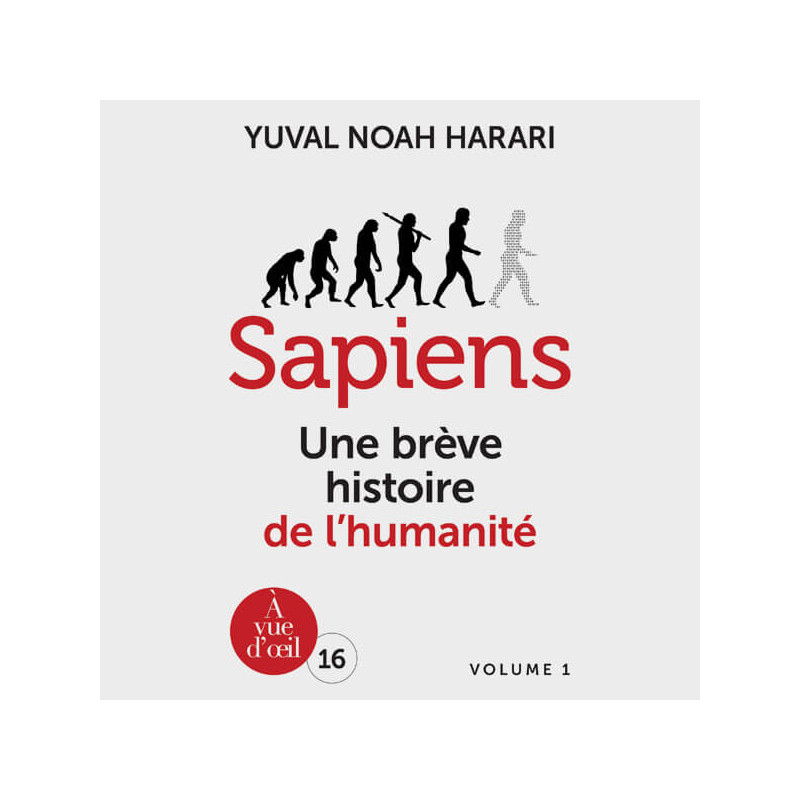 Livre gros caractères - Sapiens - Harari Yuval Noah