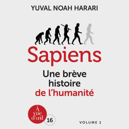 Livre gros caractères - Sapiens - Harari Yuval Noah