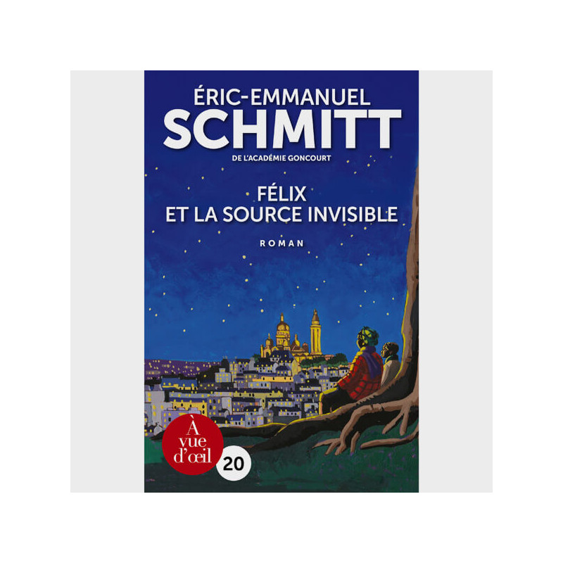 Livre gros caractères - Félix et la source invisible - Schmitt Éric-Emmanuel