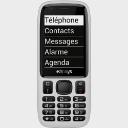 Téléphone pour aveugles