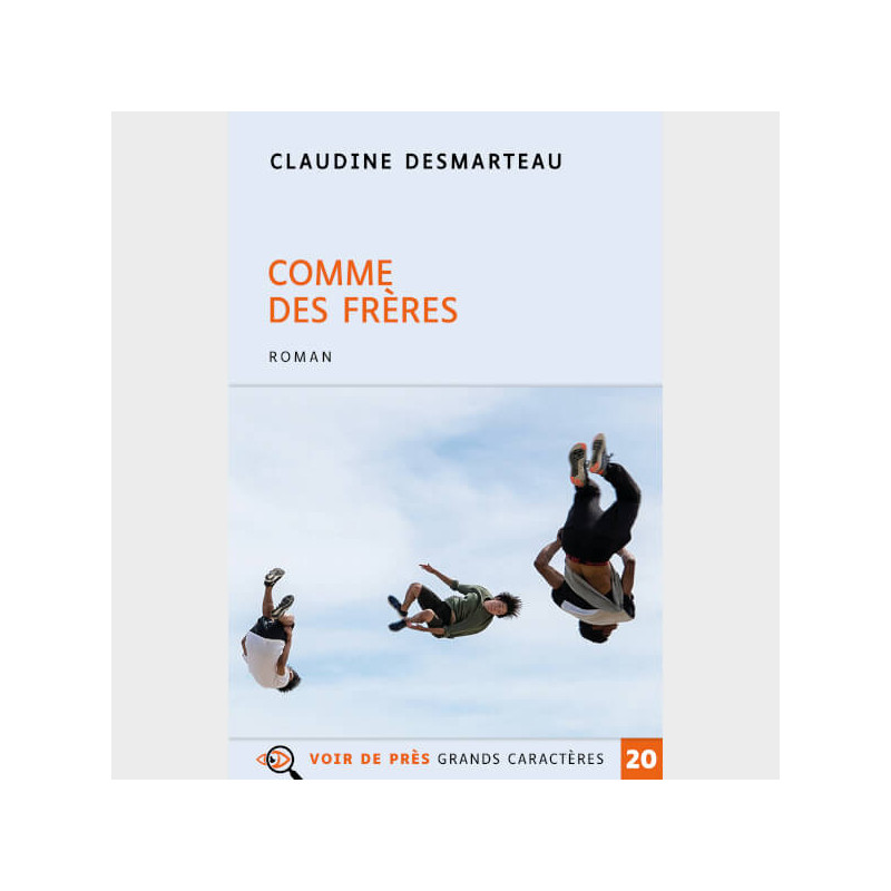 Livre à gros caractères - Desmarteau, Claudine - Comme des frères