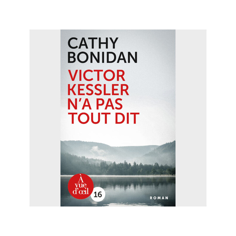 Livre à  gros caractères - Cathy Bonidan - Victor Kessler n’a pas tout dit