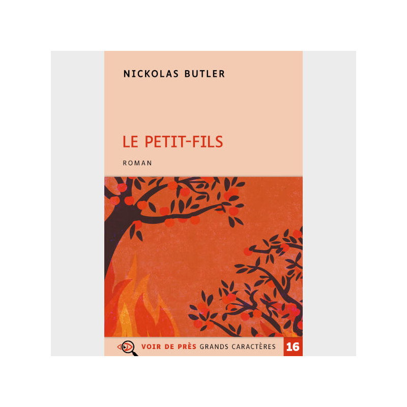 Livre à gros caractères - Butler, Nickolas - Le Petit-Fils