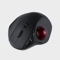 Souris Trackball latéral