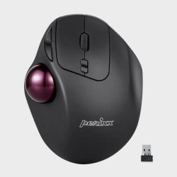 Souris Trackball latéral