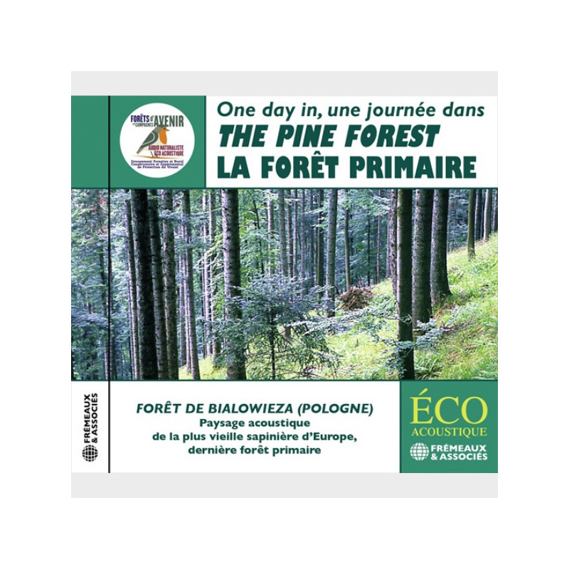 Livre Audio - Une journée dans la forêt primaire - La forêt des sapins