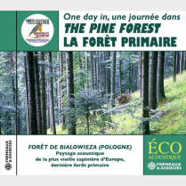 Livre Audio - Une journée dans la forêt primaire - La forêt des sapins