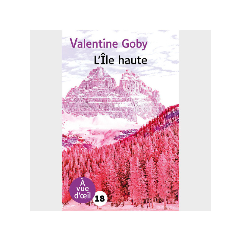 Livre gros caractères - L'Île haute - Valentine Goby
