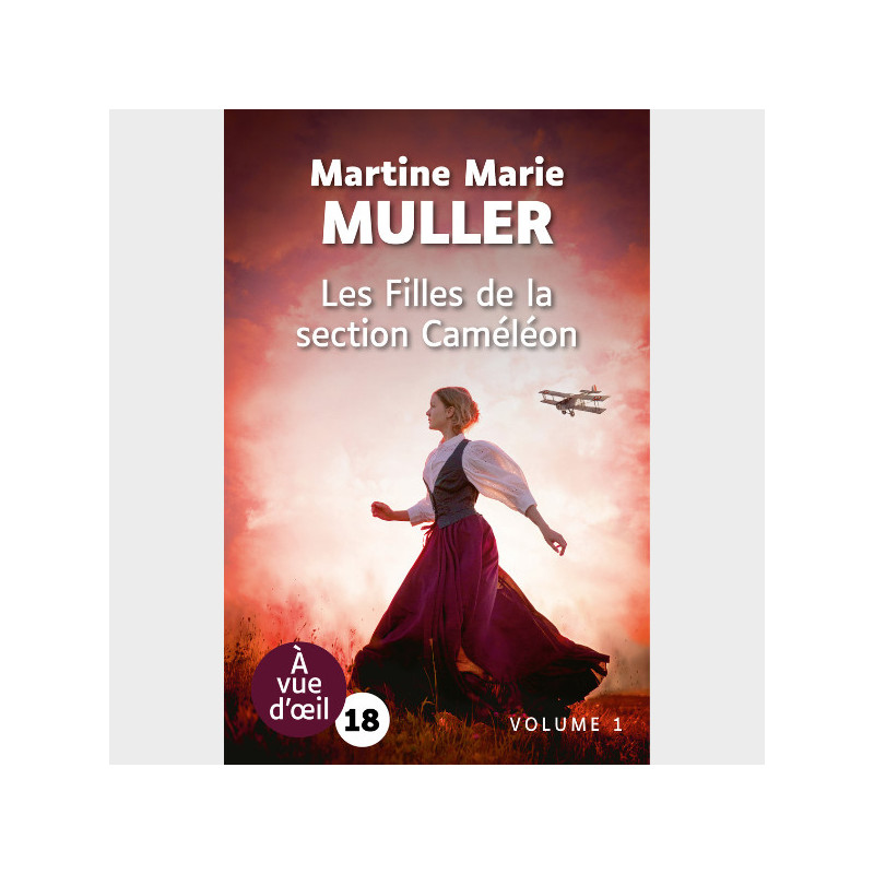 Livre gros caractères - Les Filles de la section Caméléon - Martine Marie Muller