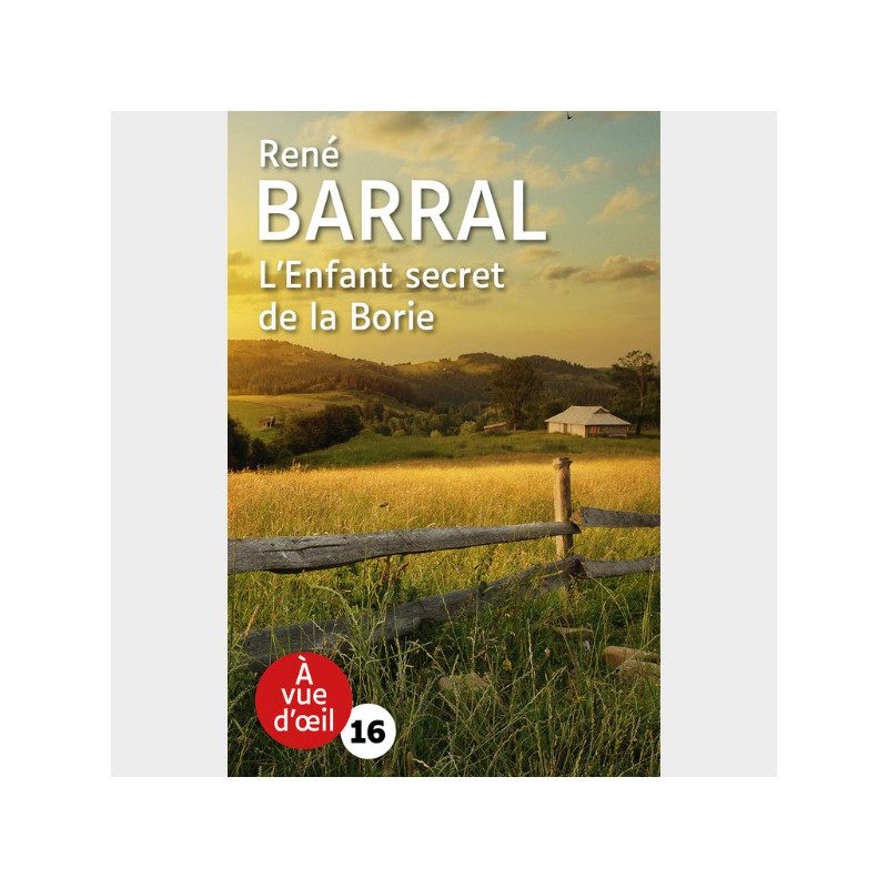 Livre gros caractères - L'Enfant secret de la Borie - René Barral