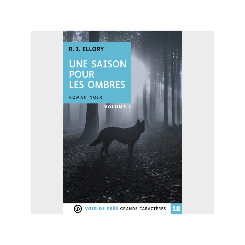 Livre gros caractères - Une saison pour les ombres - R.J. Ellory