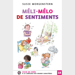 Livre gros caractères - Méli-mélo de sentiments - Susie Morgenstern