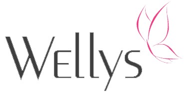 Logo de la marque Wellys